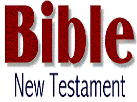 New Testament in 90 Days