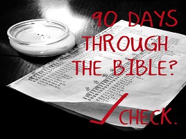 Reading the Bible in 90 Days