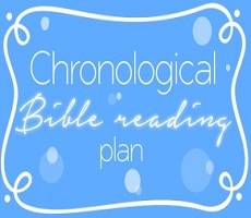 Chronological One Year Plans