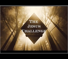 Jesus Challenge for Older Children