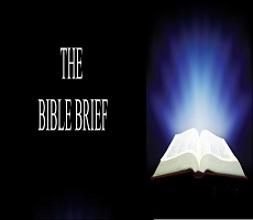 Survey & Highlights of the Bible