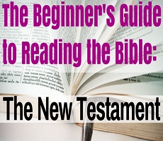 New Testament Bible Reading Plan
