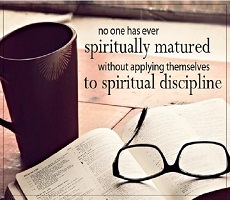 Steps to Spiritual Maturity Study Guide