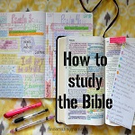 New Christian's Study Guide