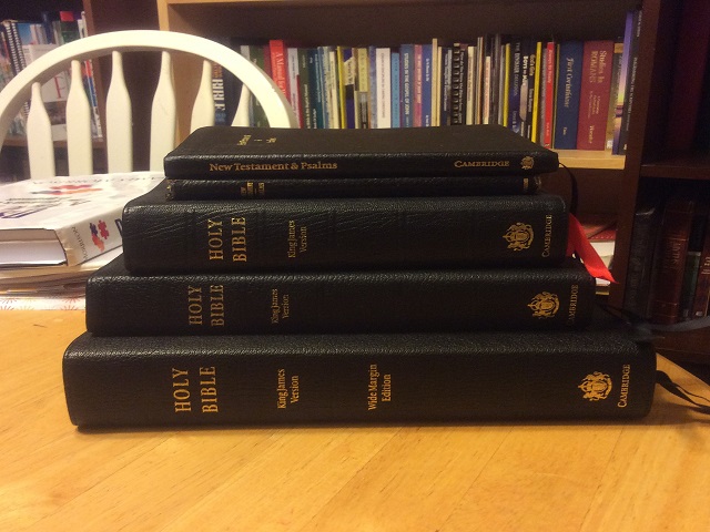 The Study of Individual Bible Books