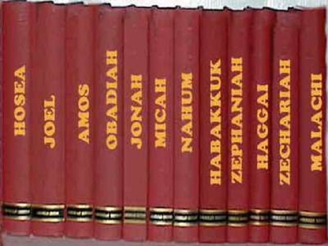 Other Pre-Exilian Prophetic Books