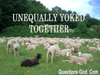 Unequally Yoked with Unbelievers